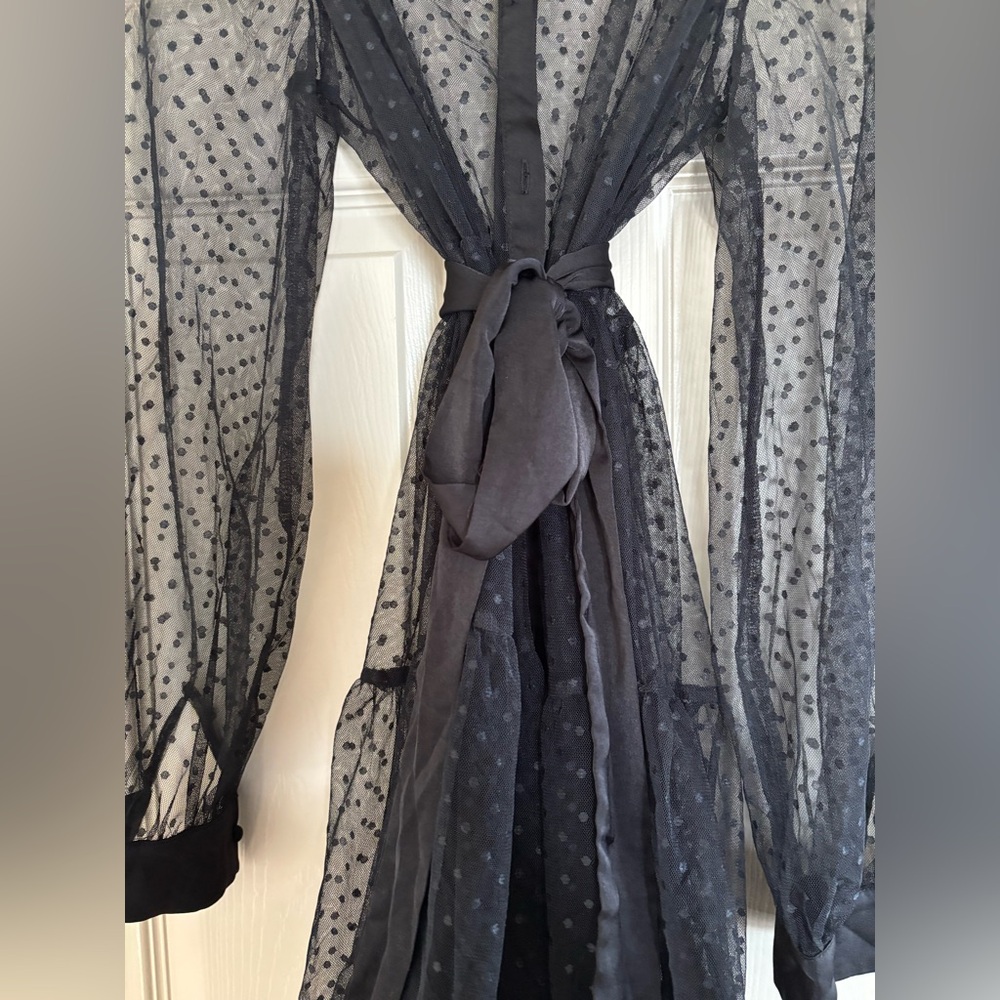 Mesh Belted Dress - Picture 6 of 6